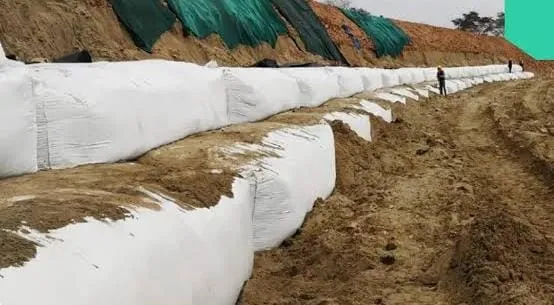 How to Use Geotextile Bags for Coastal Erosion Control with Geobag Revetment