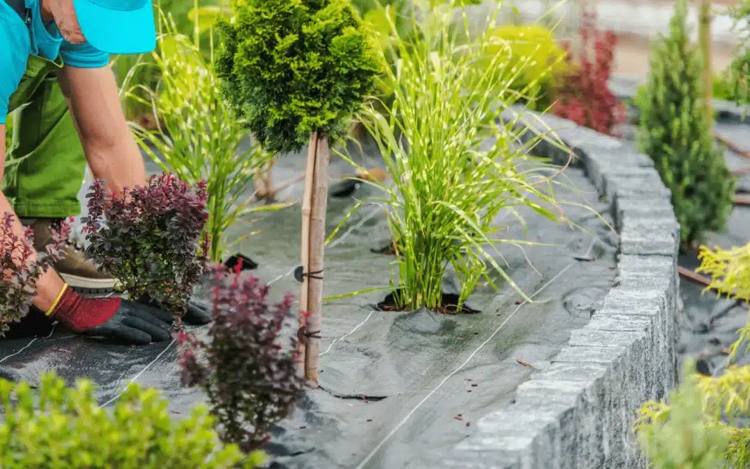 Uses of Geotextile Fabric Under Gravel for Dry Gardens