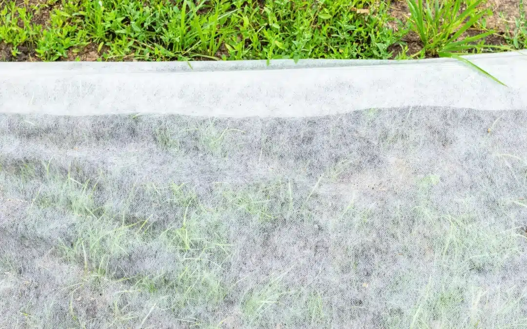 Best Geotextile Landscape Fabric for Weed Control and Drainage