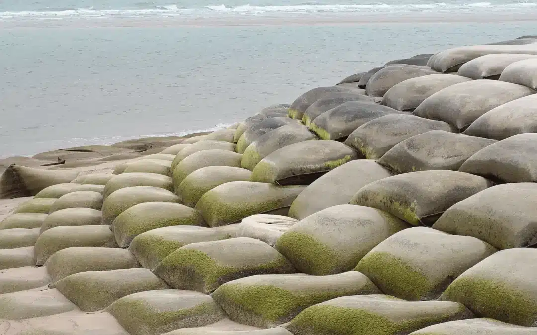 Who Are Geobags Made? Understanding Geotextile Materials and Their Function in Erosion Control